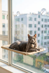 Hamaca Para Gato Cama Ventana